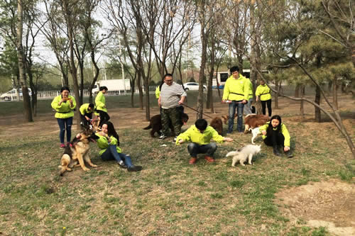 34期训犬班户外训练