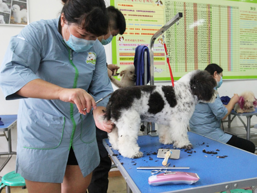 40期美容班综合美容实操课