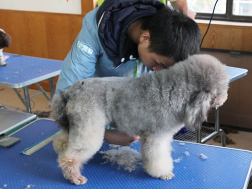 46期美容班综合实操课