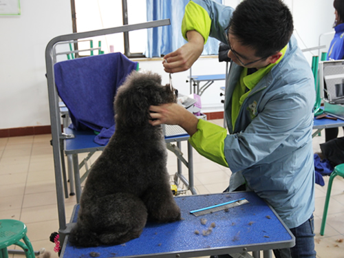 47期美容班毕业实操考试