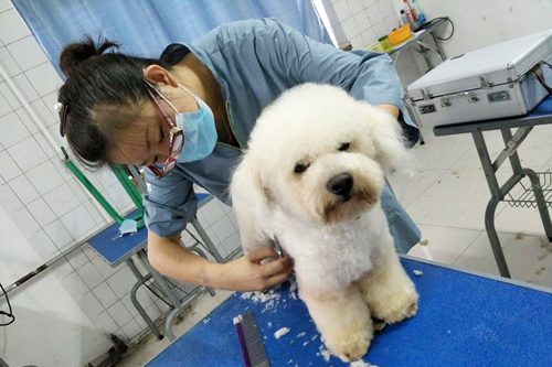 57期美容班综合实操